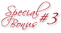 Special Bonus #3